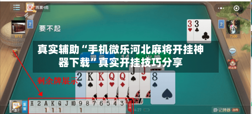 真实辅助“手机微乐河北麻将开挂神器下载”真实开挂技巧分享-第3张图片