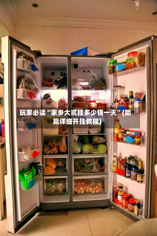 玩家必读“家乡大贰挂多少钱一天”(助赢详细开挂教程)-第2张图片