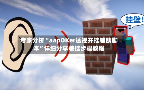 专家分析“aapOKer透视开挂辅助脚本”详细分享装挂步骤教程-第2张图片