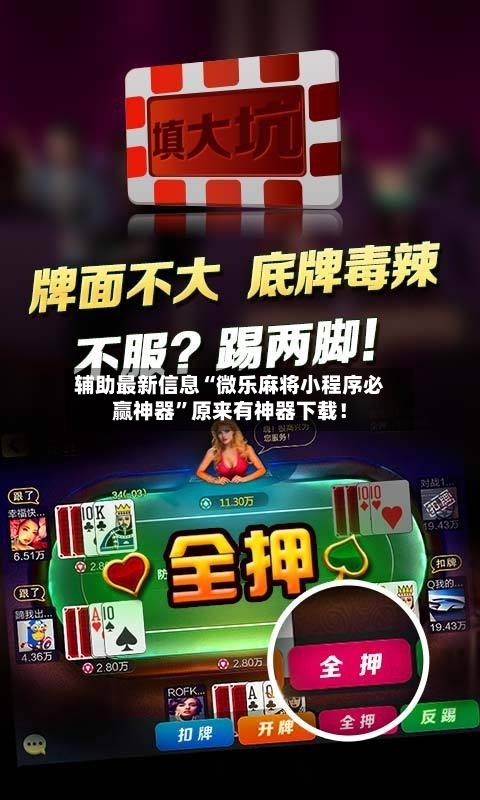 辅助最新信息“微乐麻将小程序必赢神器”原来有神器下载！-第3张图片