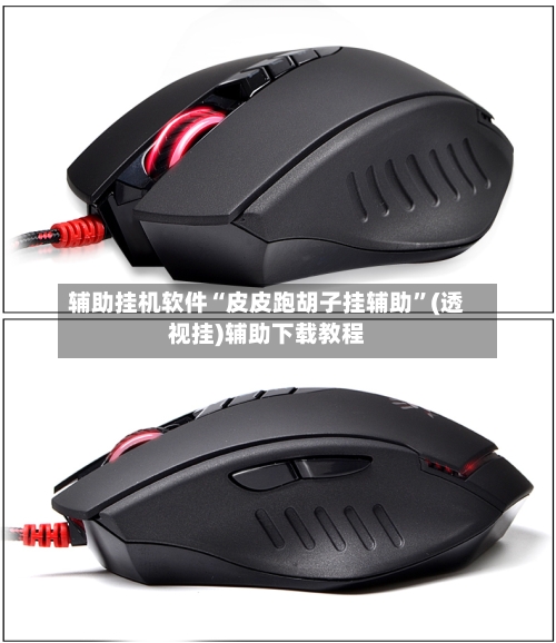 辅助挂机软件“皮皮跑胡子挂辅助”(透视挂)辅助下载教程-第2张图片