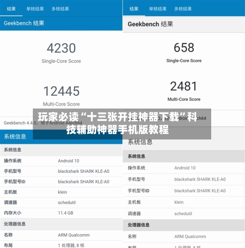 玩家必读“十三张开挂神器下载	”科技辅助神器手机版教程-第2张图片