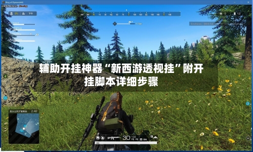 辅助开挂神器“新西游透视挂	”附开挂脚本详细步骤-第2张图片