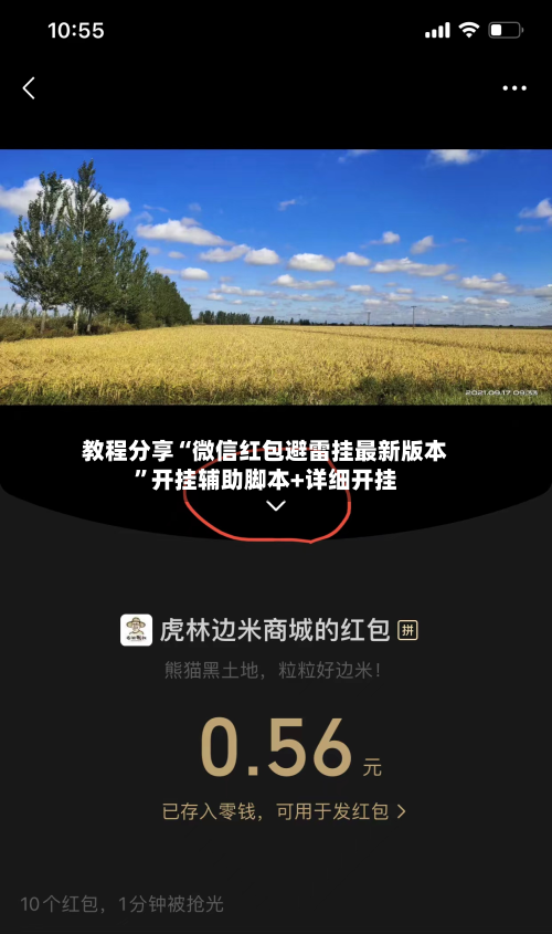 教程分享“微信红包避雷挂最新版本	”开挂辅助脚本+详细开挂-第2张图片