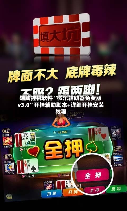 辅助挂机软件“微乐辅助器免费版v3.0”开挂辅助脚本+详细开挂安装教程-第2张图片