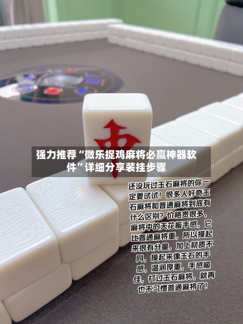 强力推荐“微乐捉鸡麻将必赢神器软件”详细分享装挂步骤-第3张图片