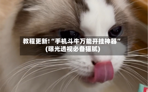 教程更新!“手机斗牛万能开挂神器”(曝光透视必备猫腻)-第3张图片