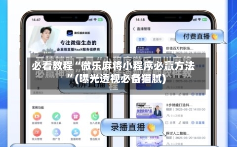 必看教程“微乐麻将小程序必赢方法”(曝光透视必备猫腻)-第3张图片