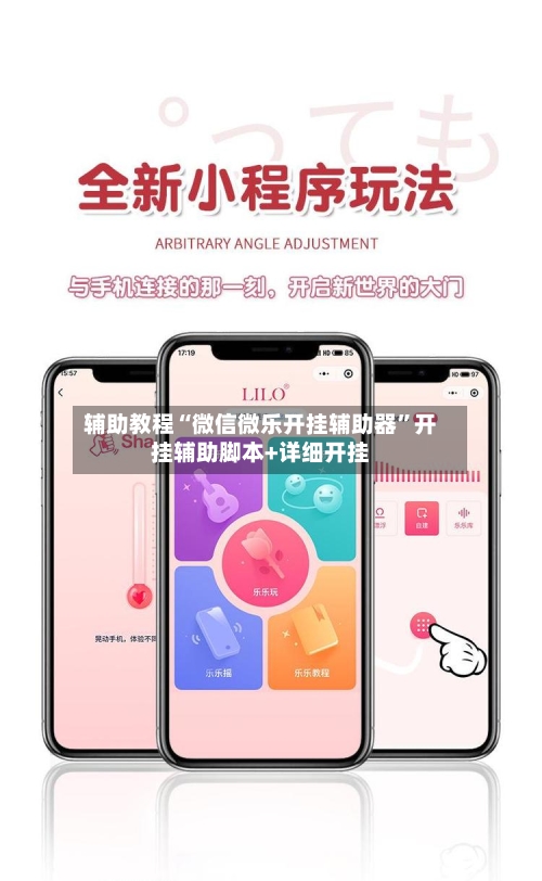 辅助教程“微信微乐开挂辅助器”开挂辅助脚本+详细开挂-第2张图片