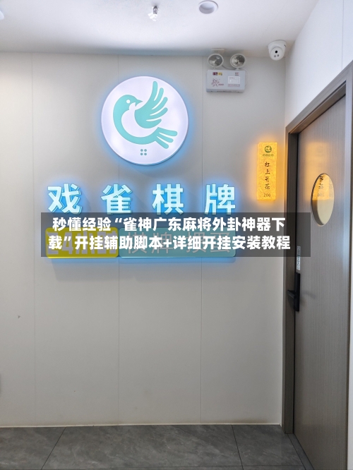 秒懂经验“雀神广东麻将外卦神器下载”开挂辅助脚本+详细开挂安装教程-第3张图片