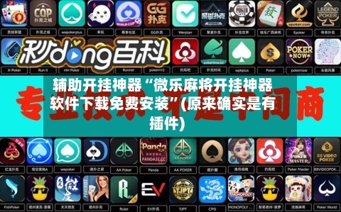 辅助开挂神器“微乐麻将开挂神器软件下载免费安装”(原来确实是有插件)-第3张图片