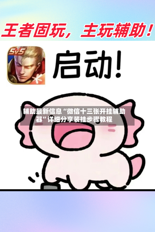 辅助最新信息“微信十三张开挂辅助器”详细分享装挂步骤教程-第2张图片