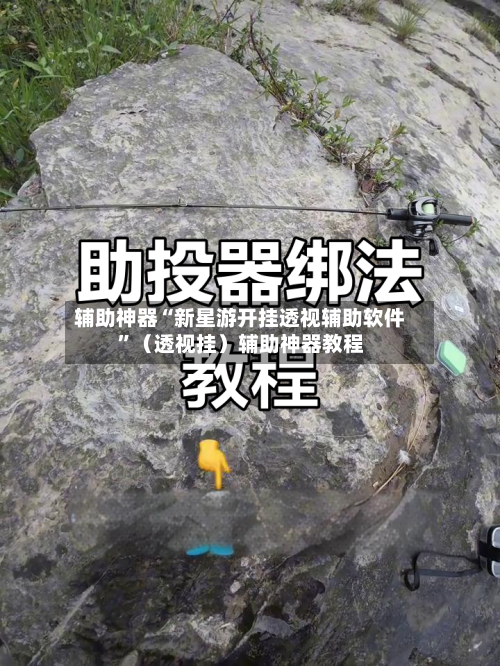 辅助神器“新星游开挂透视辅助软件”（透视挂）辅助神器教程-第2张图片