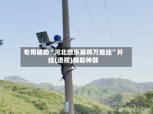 专用辅助“河北微乐麻将万能挂	”开挂(透视)辅助神器-第2张图片