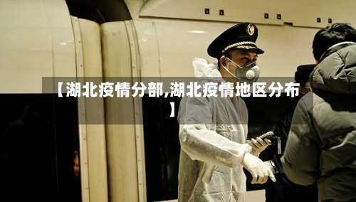 【湖北疫情分部,湖北疫情地区分布】-第2张图片