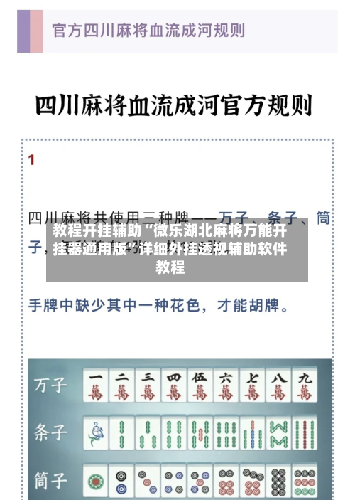 教程开挂辅助“微乐湖北麻将万能开挂器通用版	”详细外挂透视辅助软件教程-第3张图片