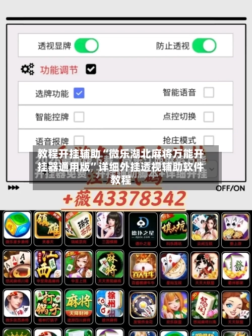 教程开挂辅助“微乐湖北麻将万能开挂器通用版”详细外挂透视辅助软件教程-第2张图片