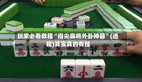 玩家必看教程“指尖麻将外卦神器”(透视)其实真的有挂-第2张图片