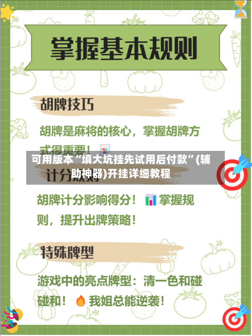 可用版本“填大坑挂先试用后付款”(辅助神器)开挂详细教程-第3张图片