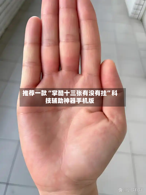 推荐一款“掌酷十三张有没有挂	”科技辅助神器手机版-第2张图片