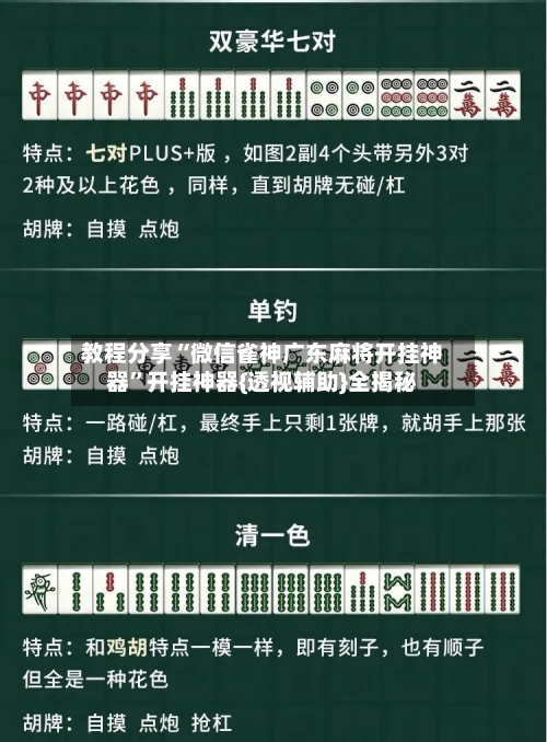 教程分享“微信雀神广东麻将开挂神器”开挂神器{透视辅助}全揭秘-第2张图片