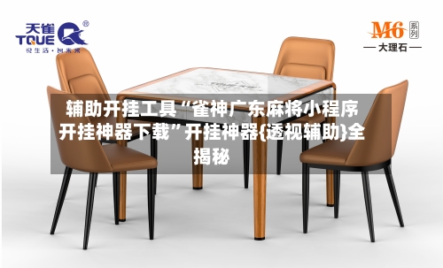 辅助开挂工具“雀神广东麻将小程序开挂神器下载	”开挂神器{透视辅助}全揭秘-第2张图片