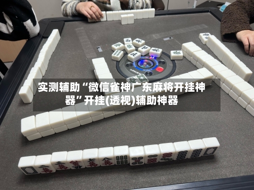 实测辅助“微信雀神广东麻将开挂神器”开挂(透视)辅助神器-第2张图片