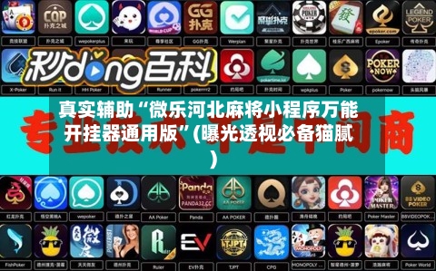 真实辅助“微乐河北麻将小程序万能开挂器通用版”(曝光透视必备猫腻)-第3张图片