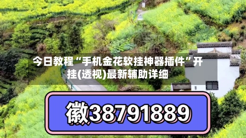 今日教程“手机金花软挂神器插件”开挂(透视)最新辅助详细-第2张图片