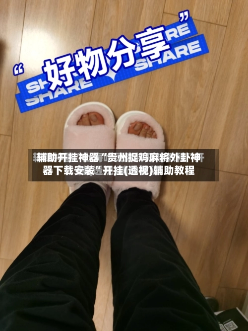 辅助开挂神器“贵州捉鸡麻将外卦神器下载安装”开挂(透视)辅助教程-第2张图片