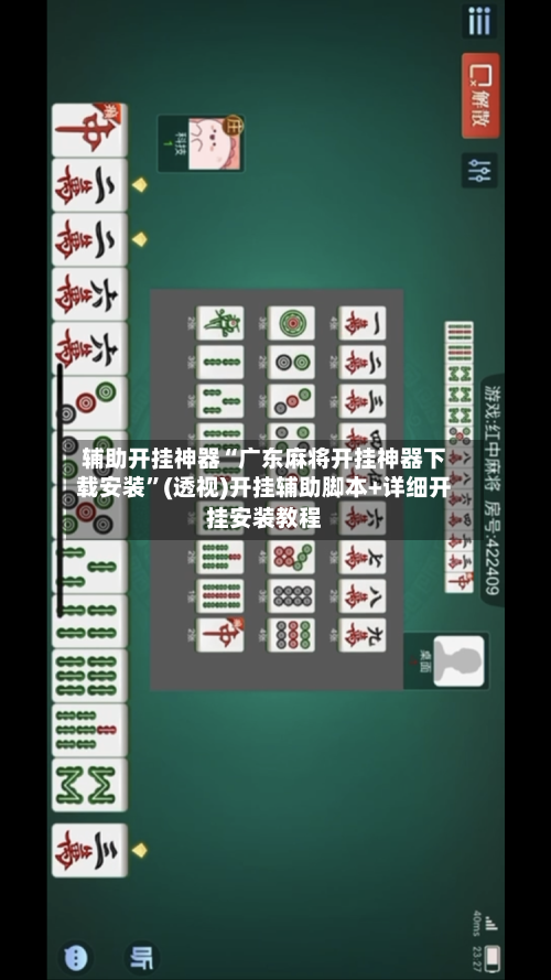 辅助开挂神器“广东麻将开挂神器下载安装”(透视)开挂辅助脚本+详细开挂安装教程-第2张图片