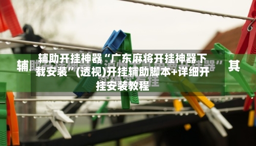 辅助开挂神器“广东麻将开挂神器下载安装”(透视)开挂辅助脚本+详细开挂安装教程-第3张图片