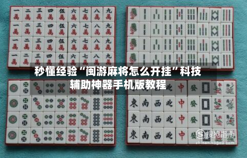 秒懂经验“闽游麻将怎么开挂”科技辅助神器手机版教程