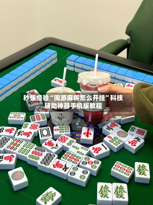 秒懂经验“闽游麻将怎么开挂	”科技辅助神器手机版教程-第2张图片