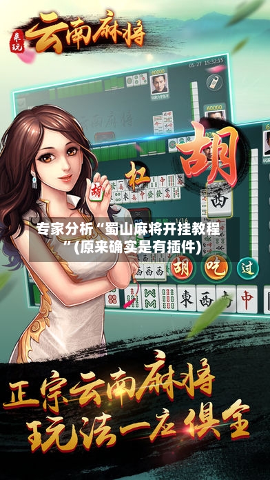 专家分析“蜀山麻将开挂教程”(原来确实是有插件)-第2张图片