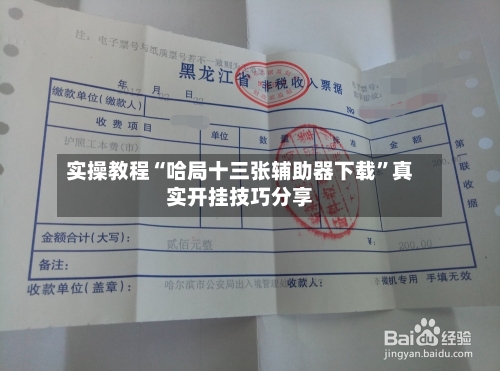 实操教程“哈局十三张辅助器下载”真实开挂技巧分享-第2张图片