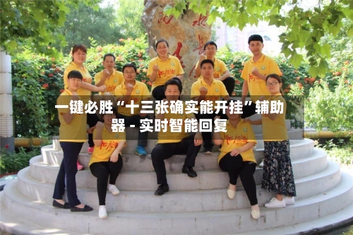 一键必胜“十三张确实能开挂”辅助器 - 实时智能回复-第3张图片