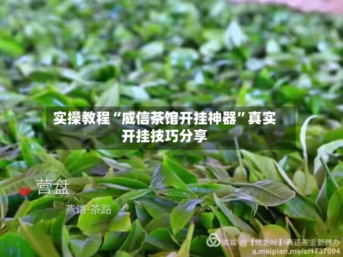 实操教程“威信茶馆开挂神器”真实开挂技巧分享-第3张图片