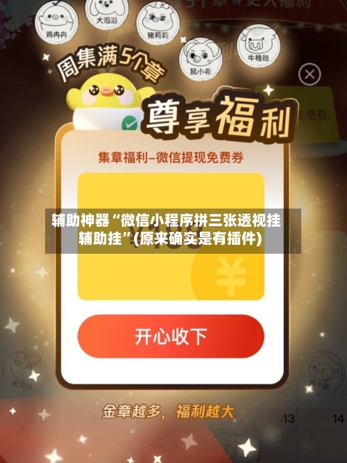 辅助神器“微信小程序拼三张透视挂辅助挂	”(原来确实是有插件)-第2张图片